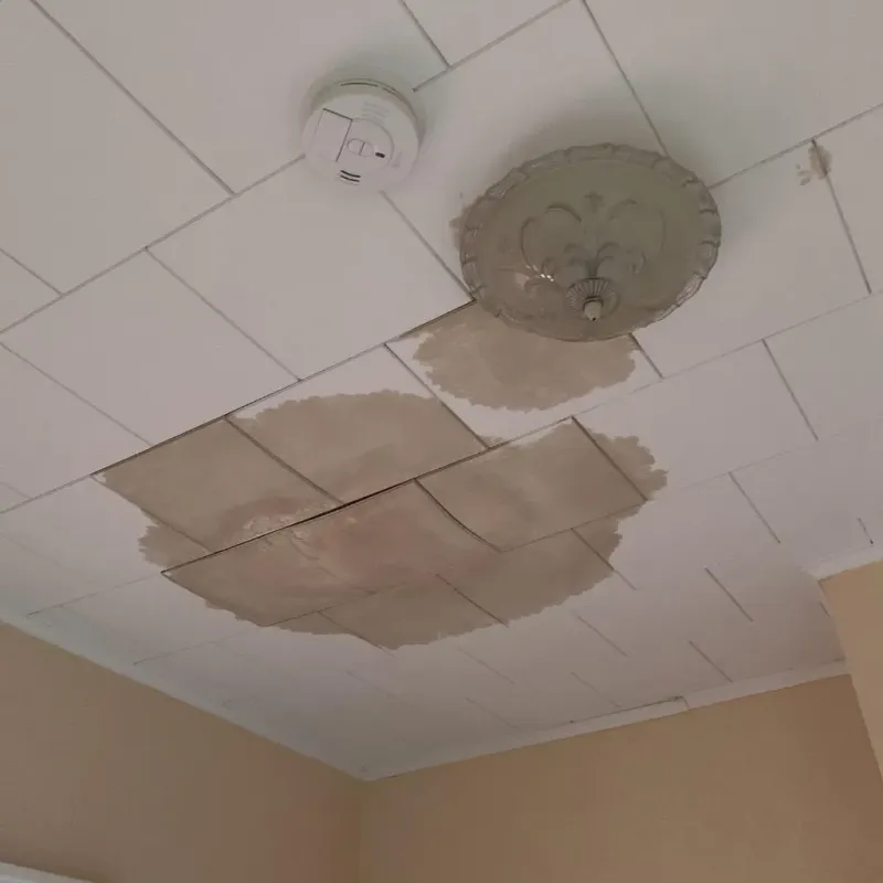 Ceiling Water Damage Repair in Marysville, KS