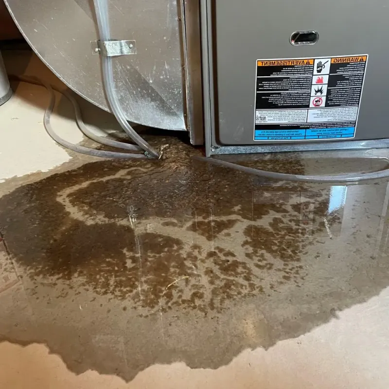Pipe Burst and Leak Restoration in Marysville, KS