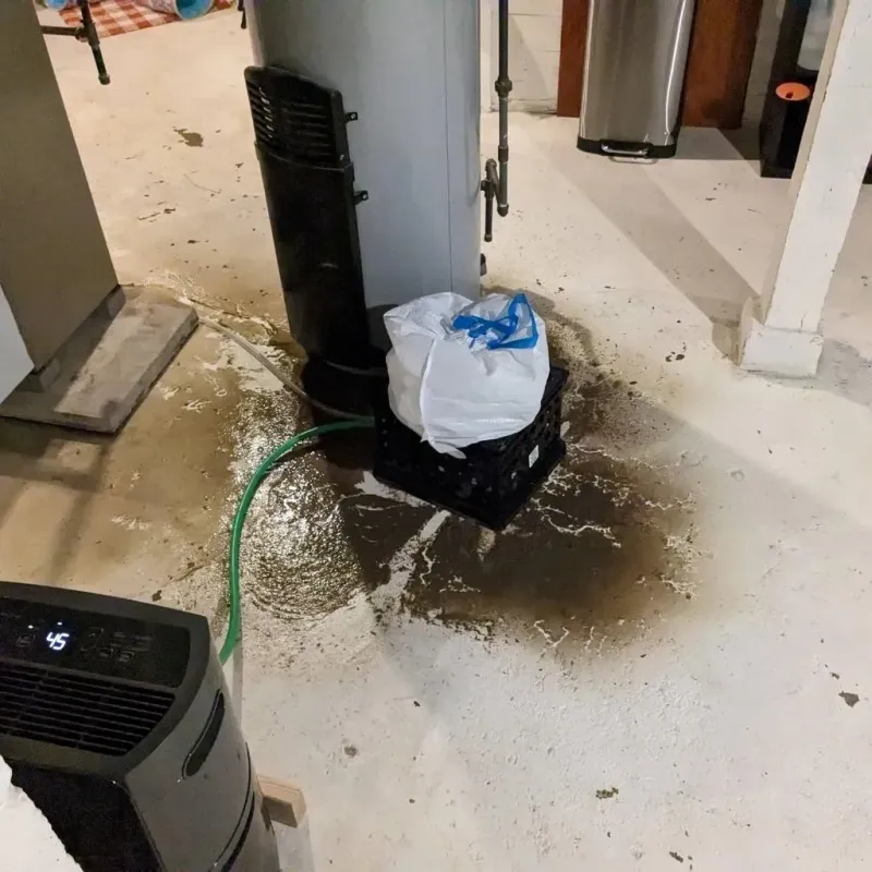 Sewage Backup Cleanup Service in Marysville, KS
